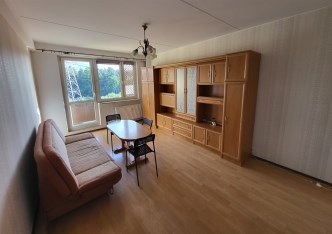 mieszkanie na wynajem - Miedźna, Wola